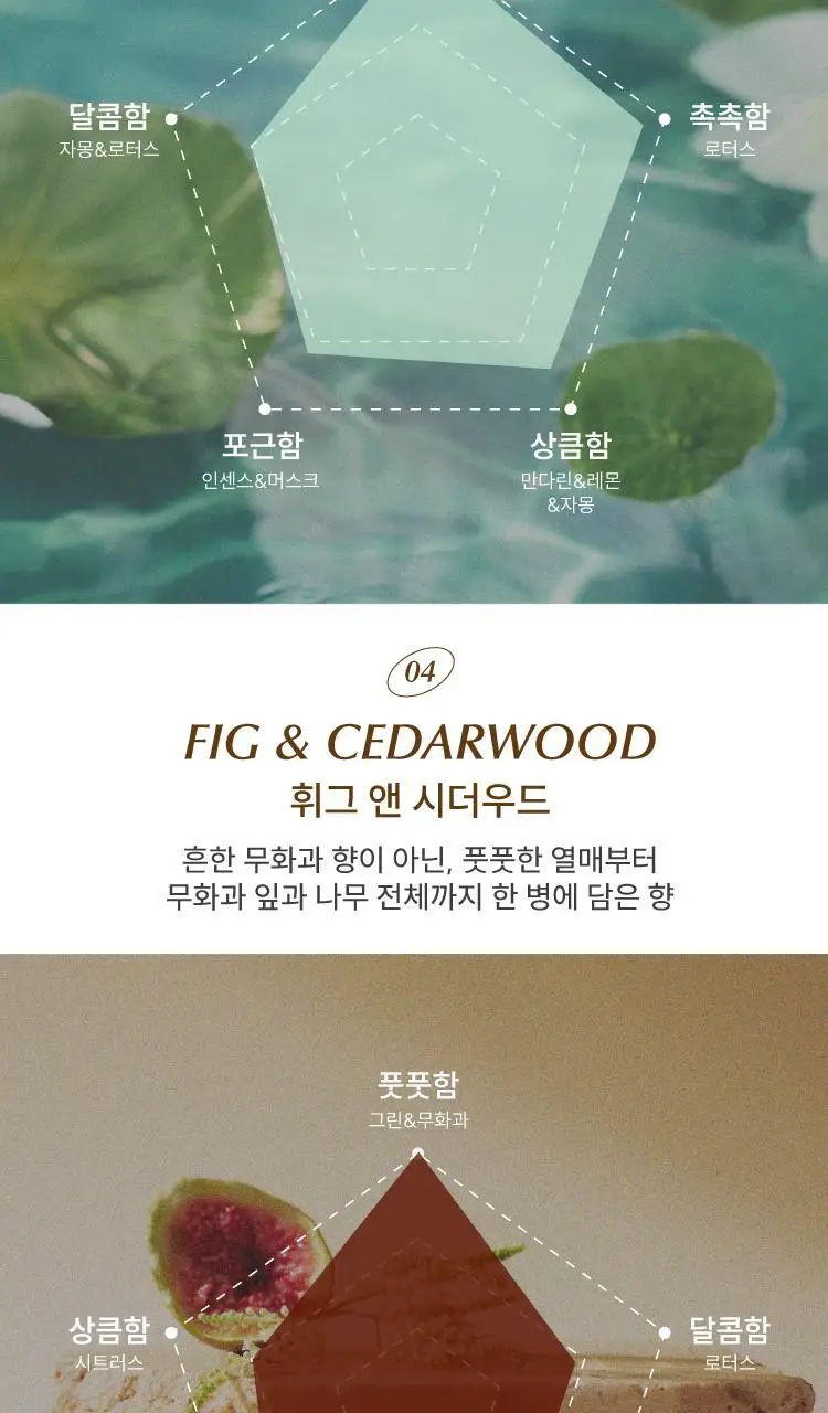 [단독기획/밀착향기보습] 로이비 퍼퓸드 핸드크림 30ml/50ml 기획/단품 택1 상세페이지 5